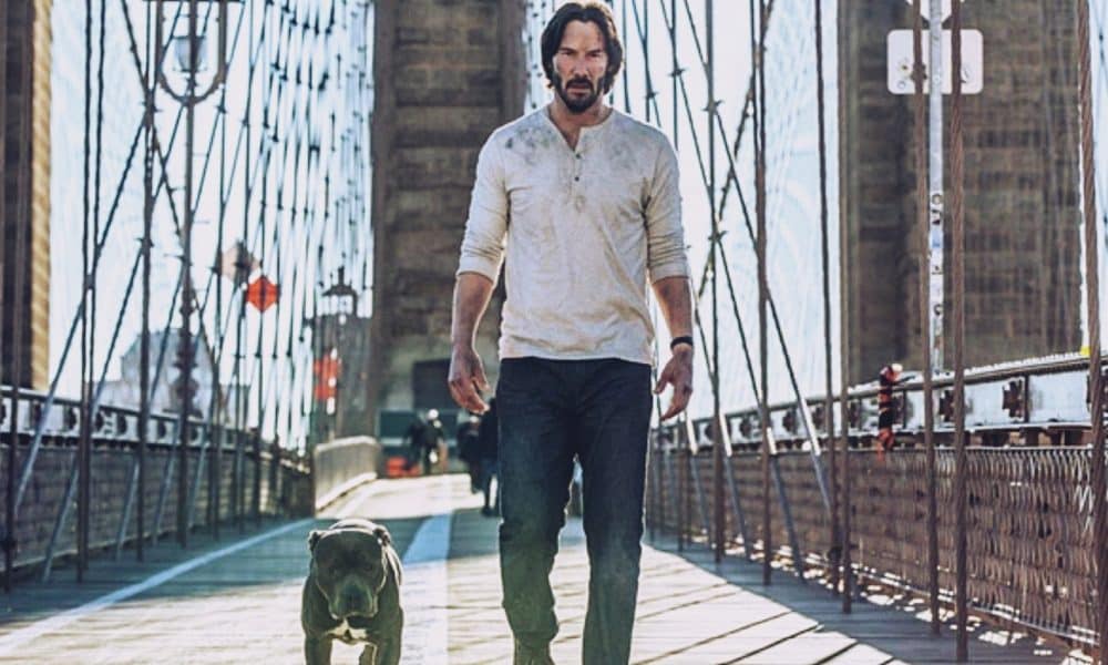 John Wick S Dog Returns In New Chapter 3 Set Photos   John Wick 3 Dog 1000x600 