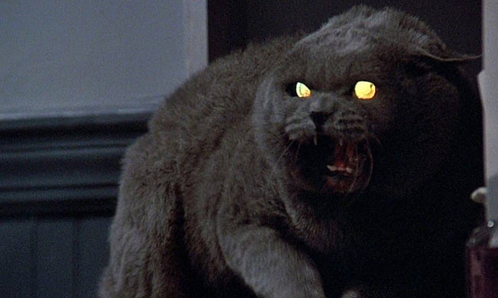 First Set Photo From 'Pet Sematary' Remake Hits The Internet