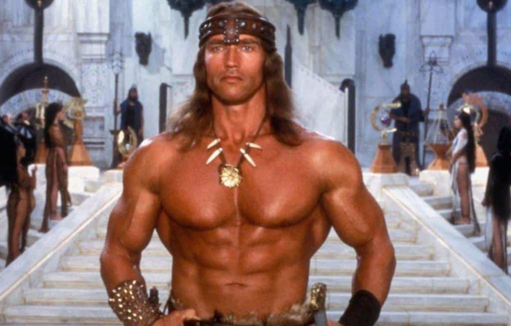 Arnold Schwarzenegger Conan The Barbarian