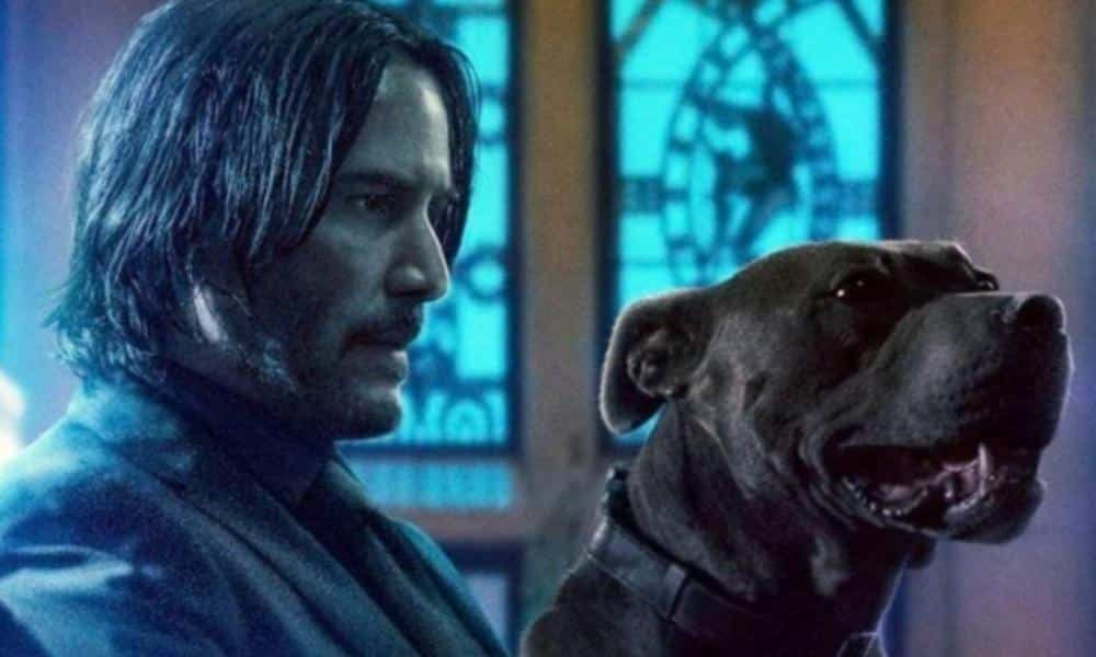 It Sounds Like 'John Wick 4' Is Already In The Works