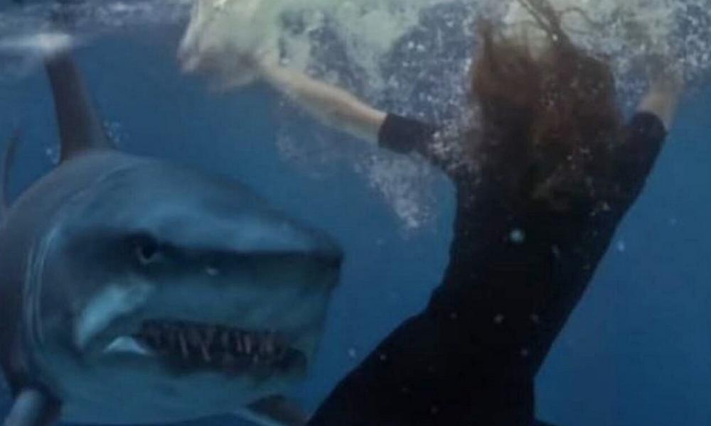 deep blue shark original video