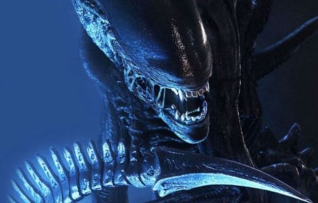 alien xenomorph