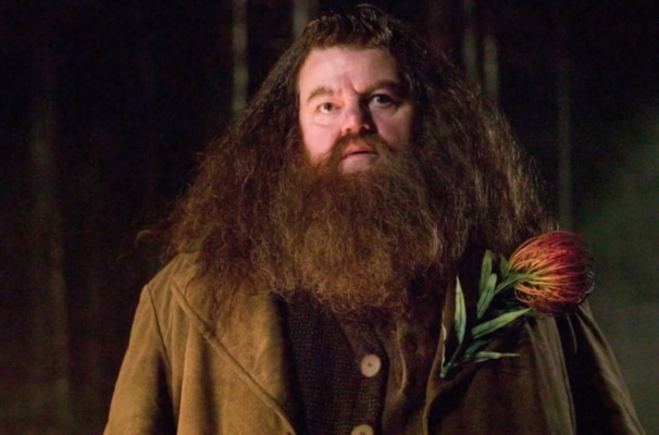 robbie coltrane hagrid harry potter