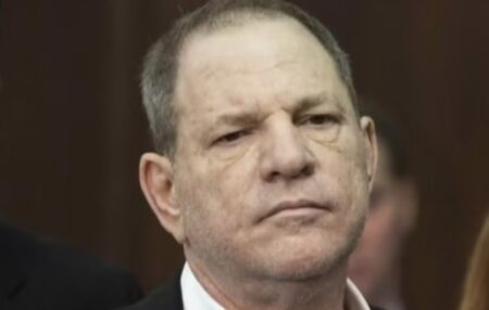 harvey weinstein